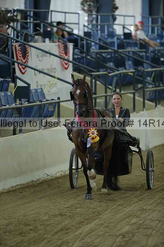 Proof Number 14r14_0545