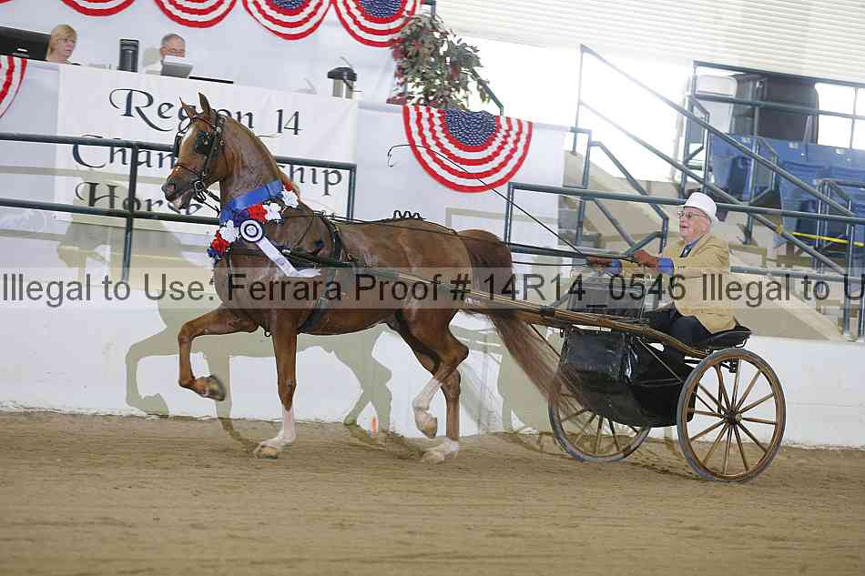 Proof Number 14r14_0546