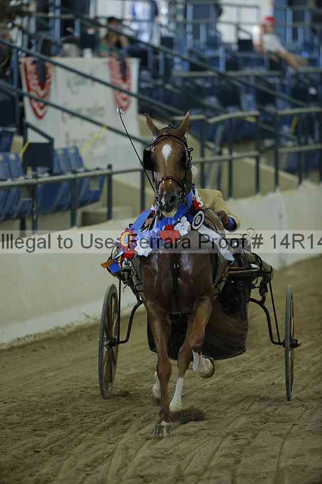 Proof Number 14r14_0547