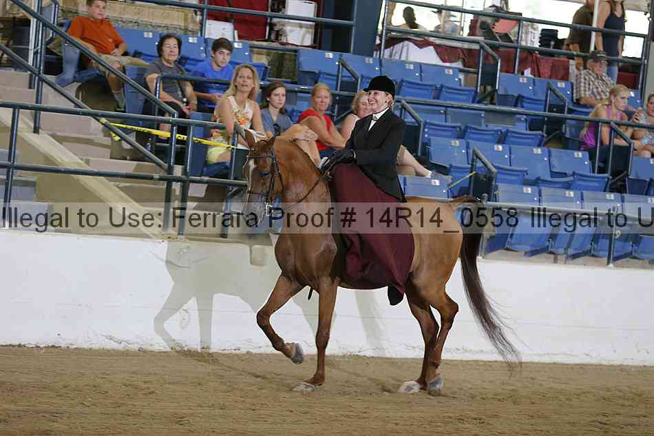 Proof Number 14r14_0558