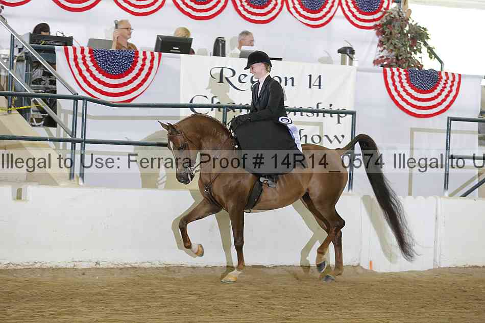 Proof Number 14r14_0574