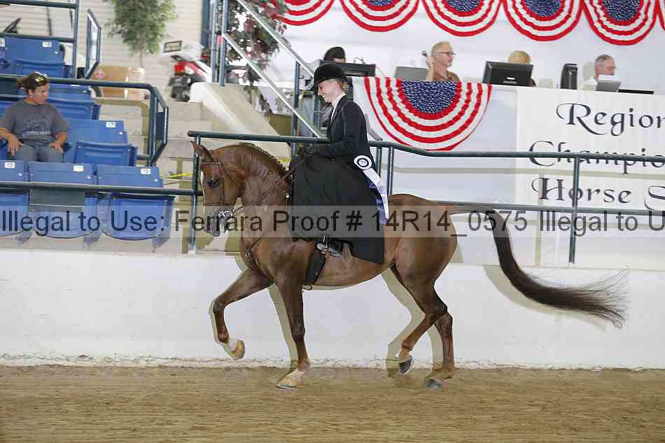 Proof Number 14r14_0575