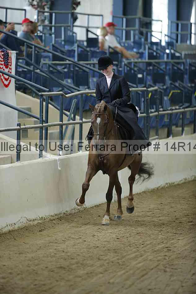 Proof Number 14r14_0576