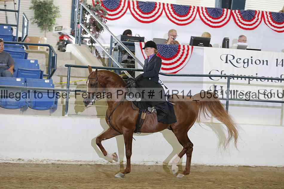 Proof Number 14r14_0581