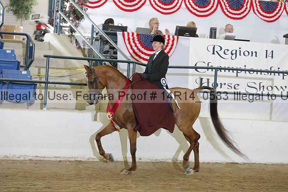 Proof Number 14r14_0583