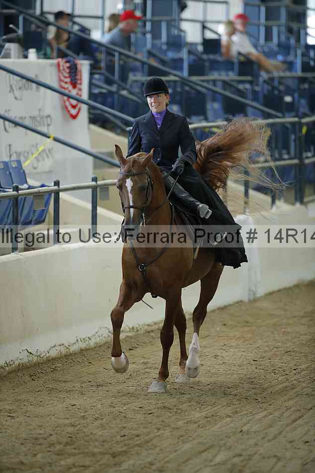 Proof Number 14r14_0584