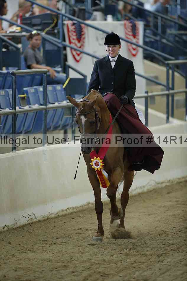 Proof Number 14r14_0586