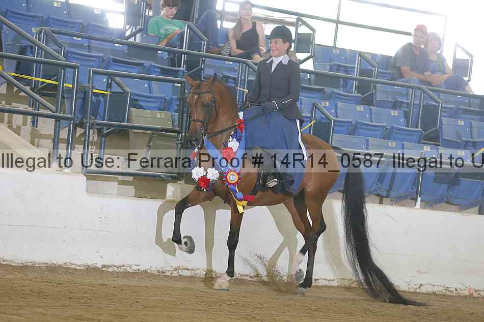 Proof Number 14r14_0587