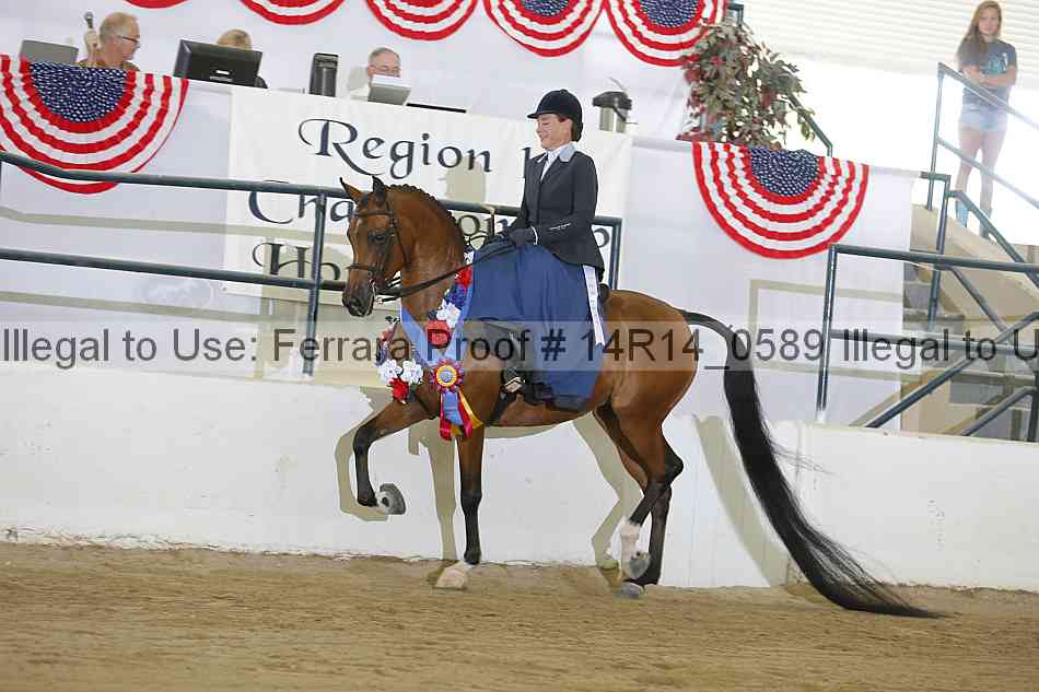 Proof Number 14r14_0589