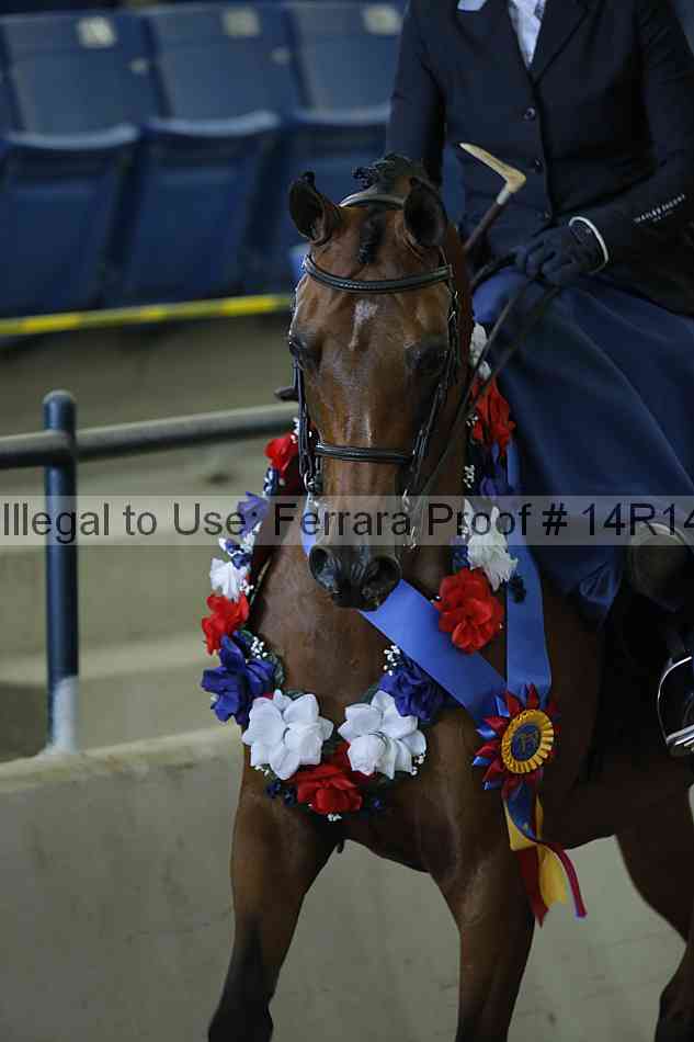 Proof Number 14r14_0592