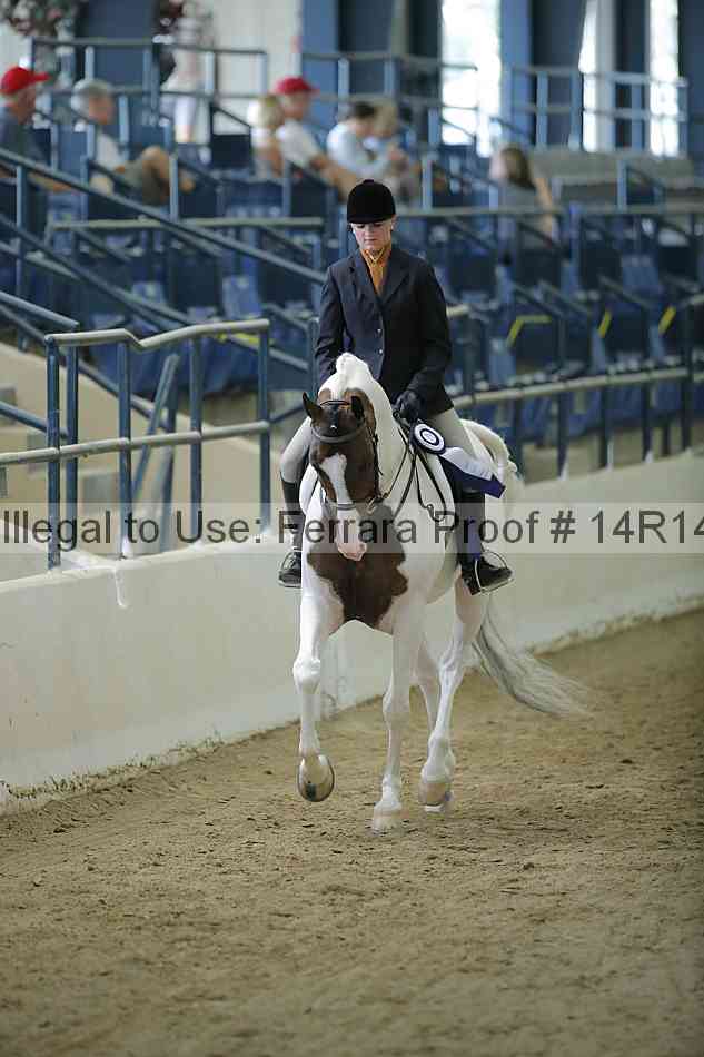 Proof Number 14r14_0621