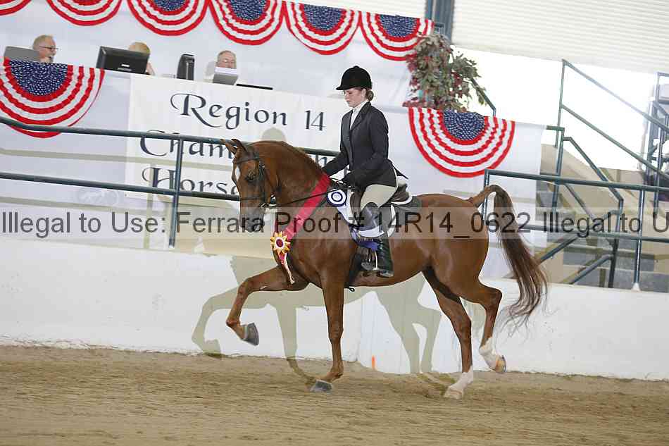 Proof Number 14r14_0622
