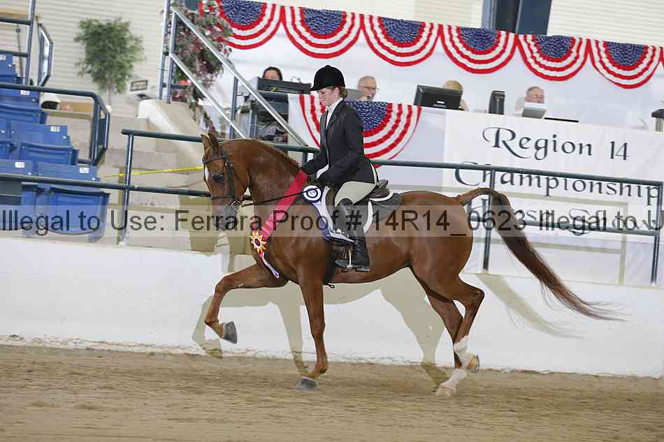 Proof Number 14r14_0623