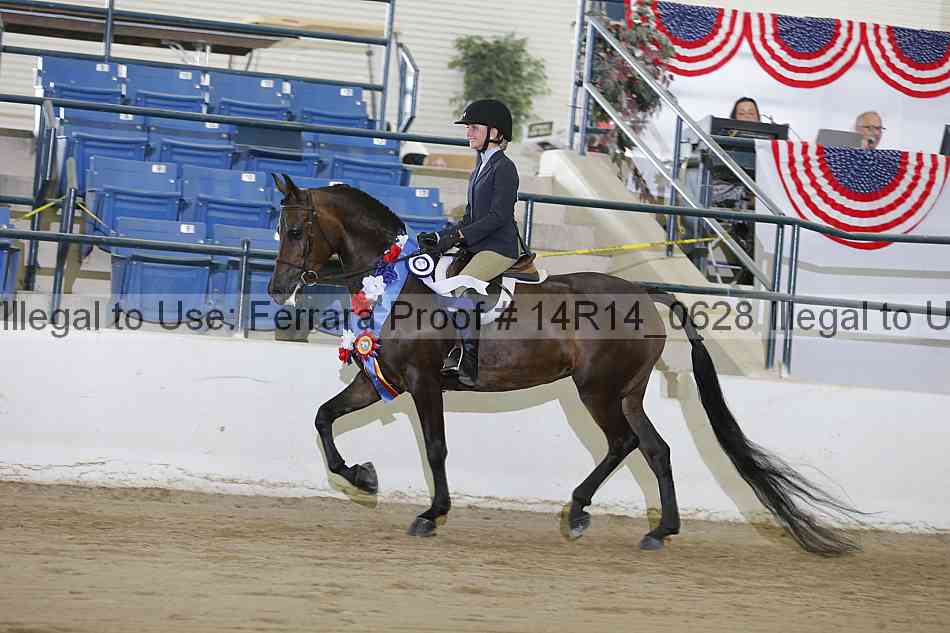 Proof Number 14r14_0628