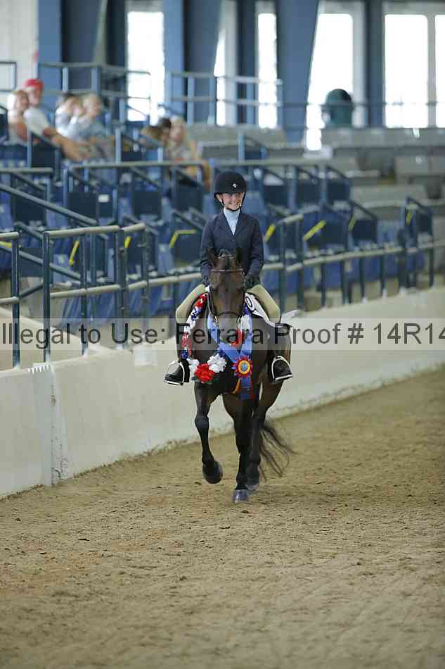 Proof Number 14r14_0629