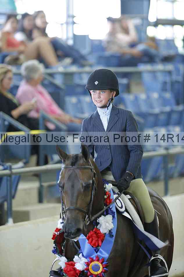 Proof Number 14r14_0631