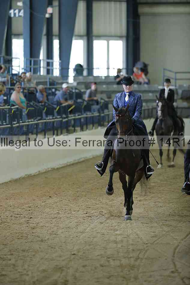 Proof Number 14r14_0656