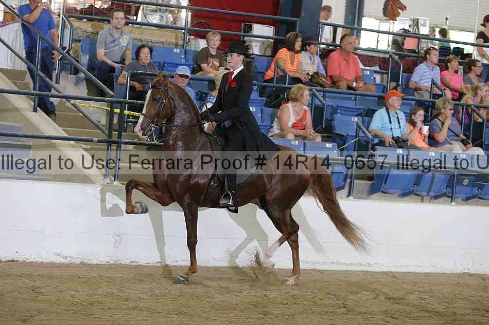 Proof Number 14r14_0657