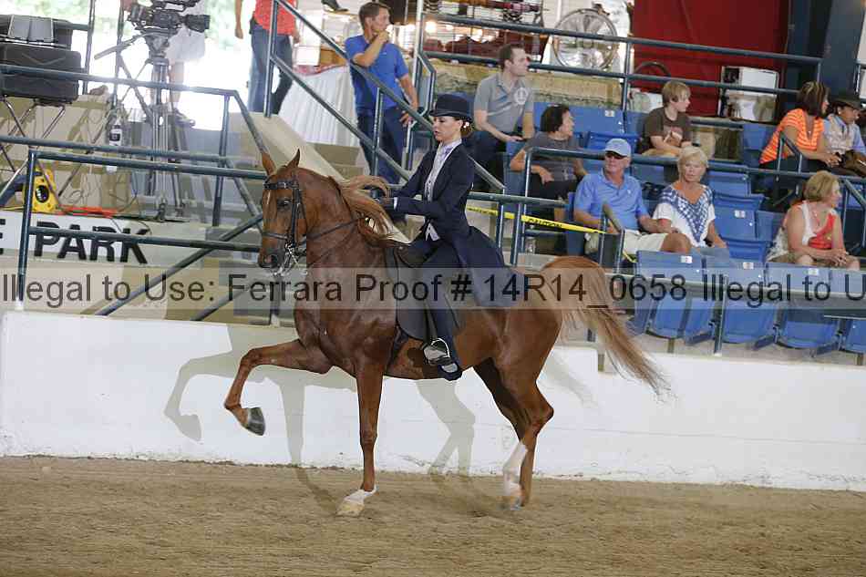 Proof Number 14r14_0658