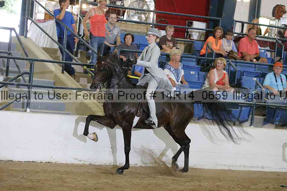 Proof Number 14r14_0659