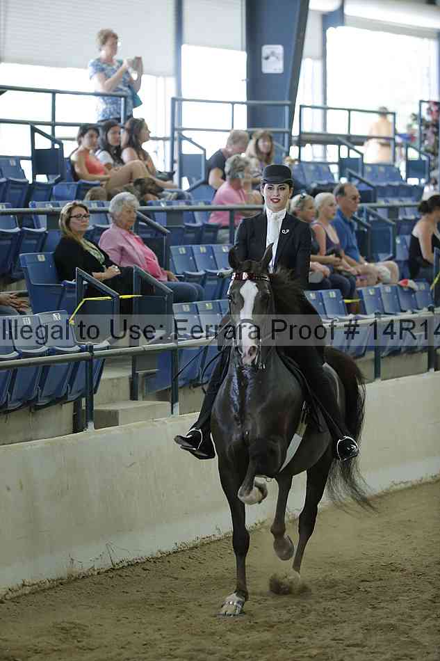 Proof Number 14r14_0660