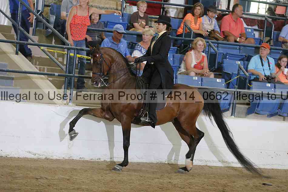 Proof Number 14r14_0662