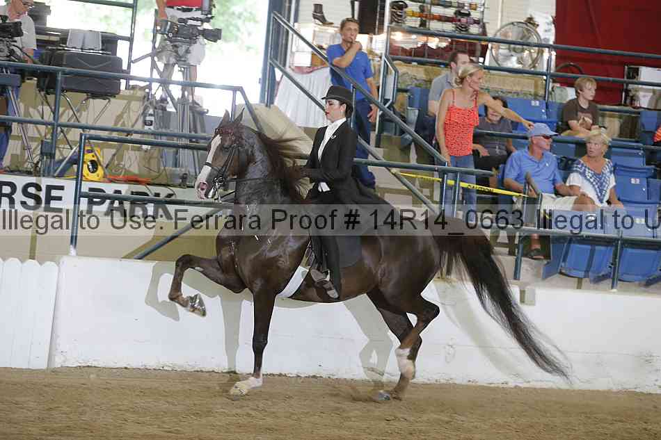 Proof Number 14r14_0663