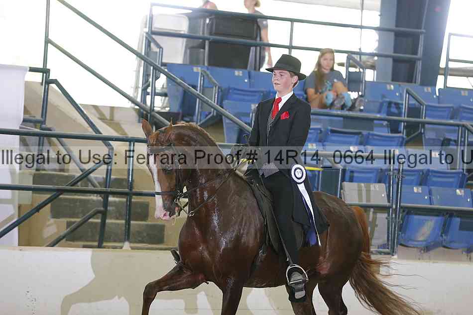 Proof Number 14r14_0664