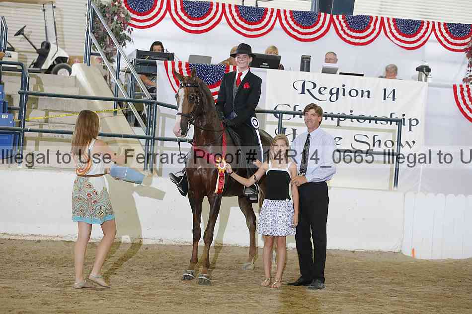 Proof Number 14r14_0665