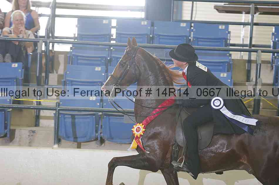 Proof Number 14r14_0667