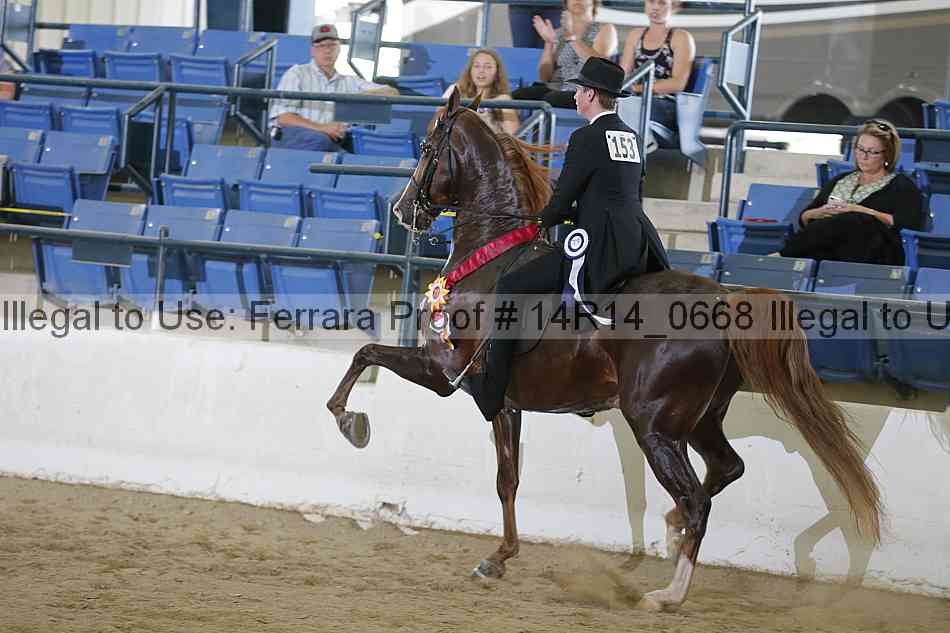 Proof Number 14r14_0668