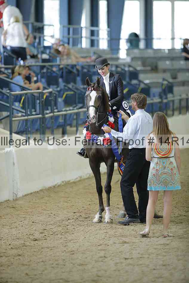 Proof Number 14r14_0673