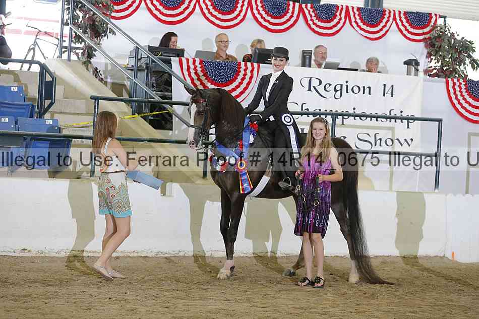 Proof Number 14r14_0675