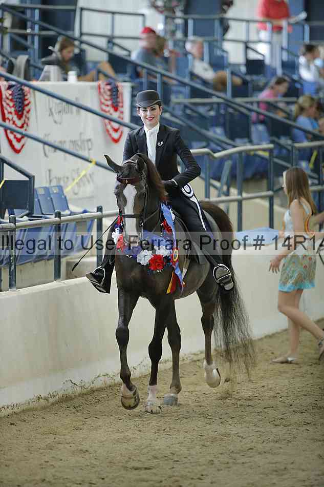 Proof Number 14r14_0677