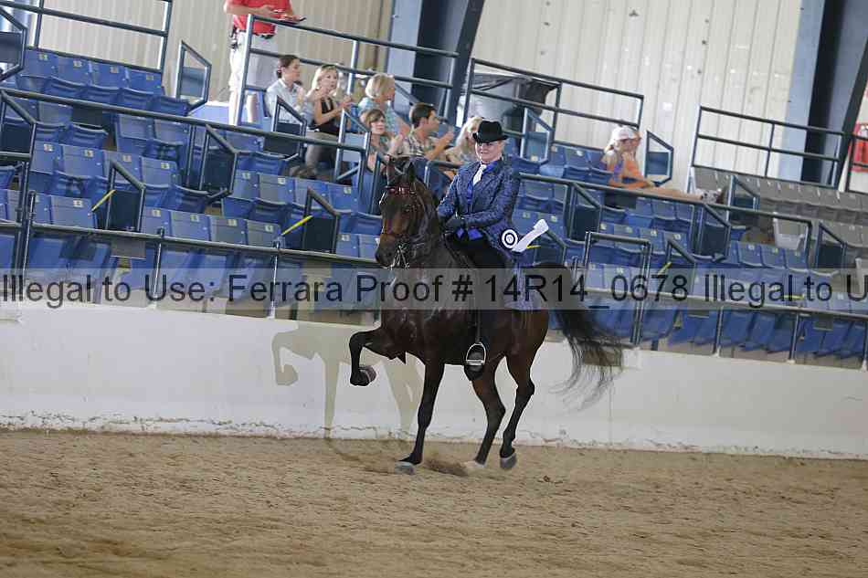 Proof Number 14r14_0678