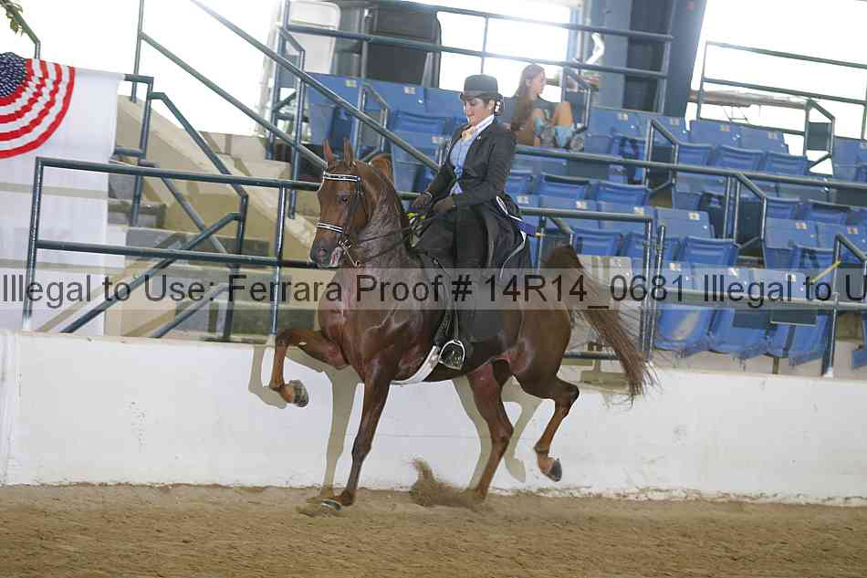 Proof Number 14r14_0681