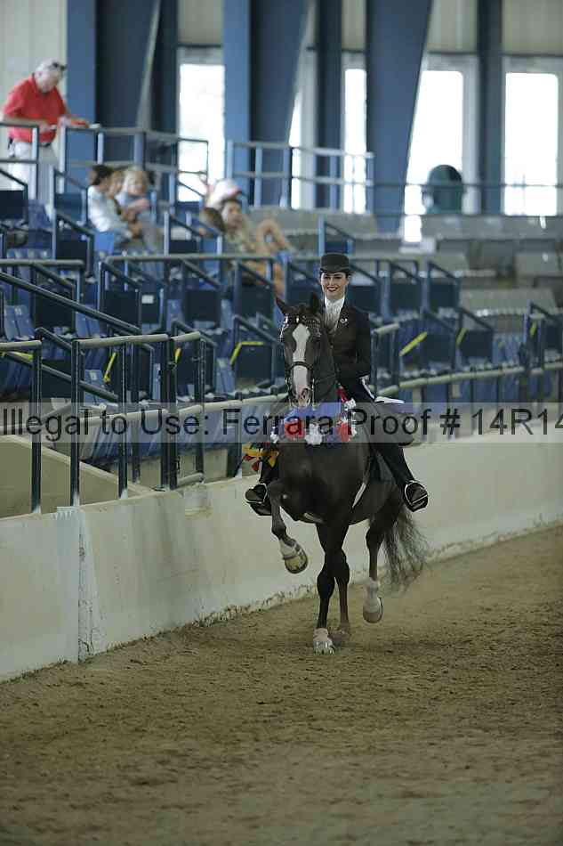 Proof Number 14r14_0695
