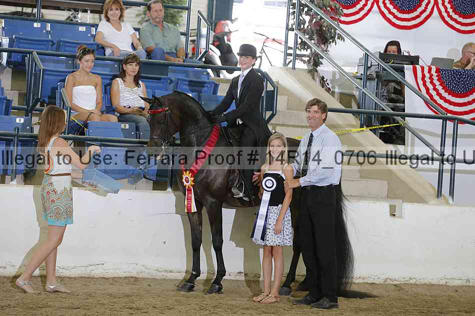 Proof Number 14r14_0706