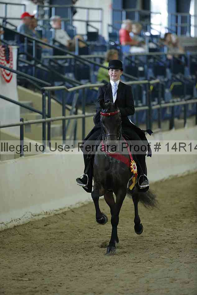 Proof Number 14r14_0713