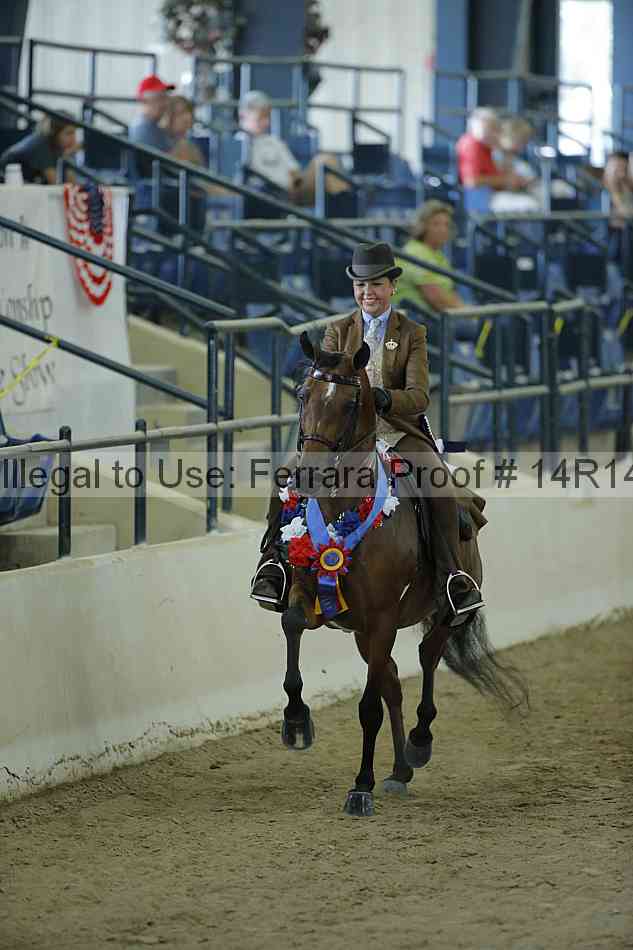 Proof Number 14r14_0717