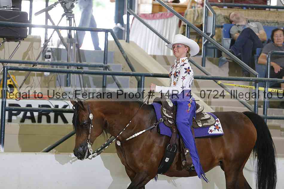 Proof Number 14r14_0724
