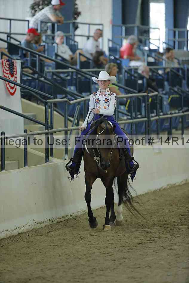 Proof Number 14r14_0731