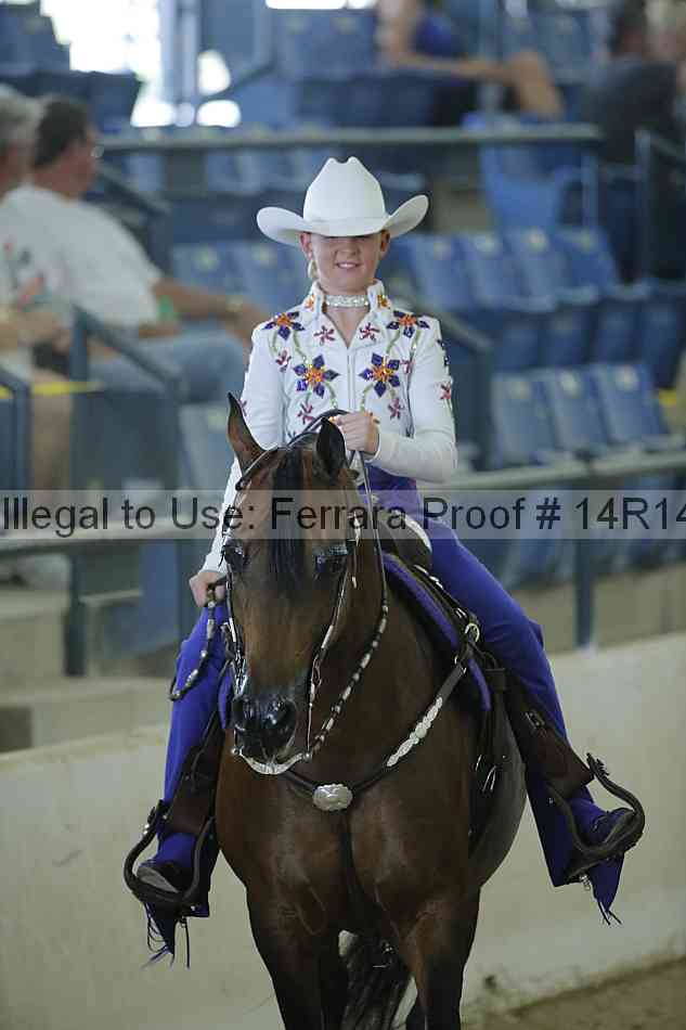 Proof Number 14r14_0736
