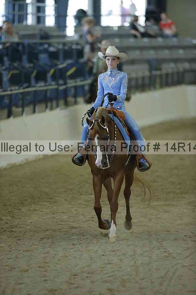 Proof Number 14r14_0737