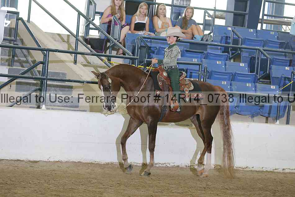 Proof Number 14r14_0738