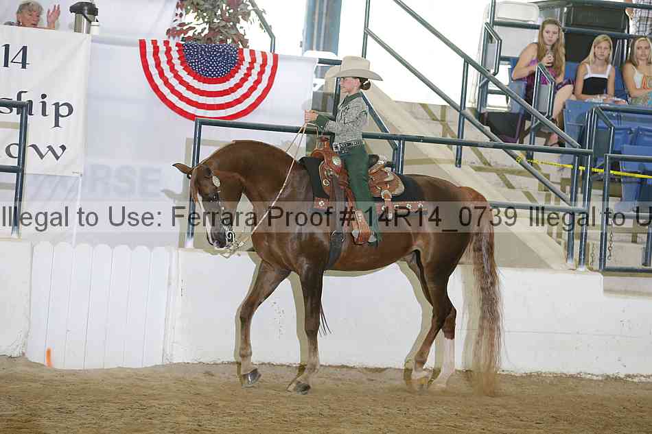 Proof Number 14r14_0739