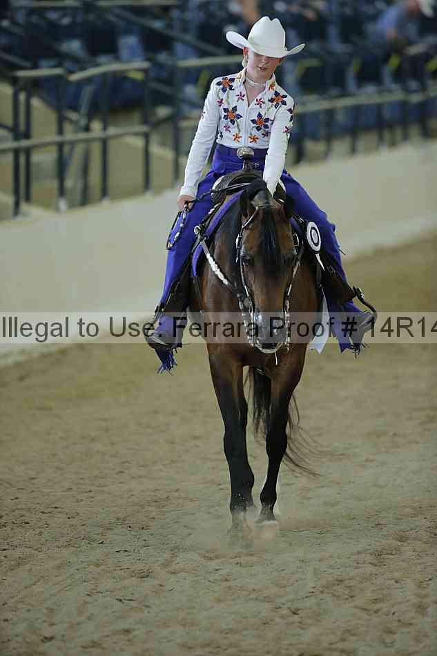 Proof Number 14r14_0766