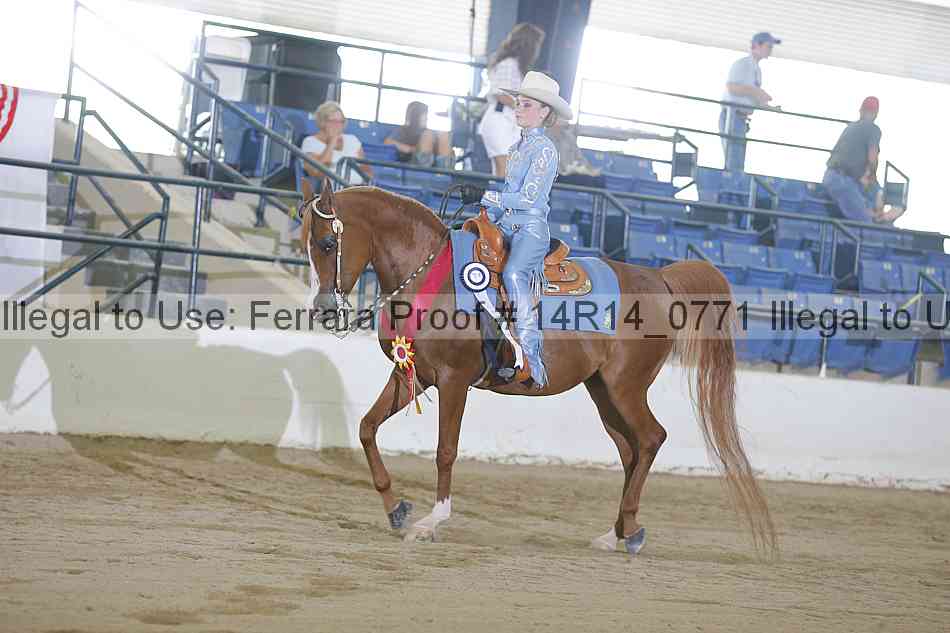 Proof Number 14r14_0771