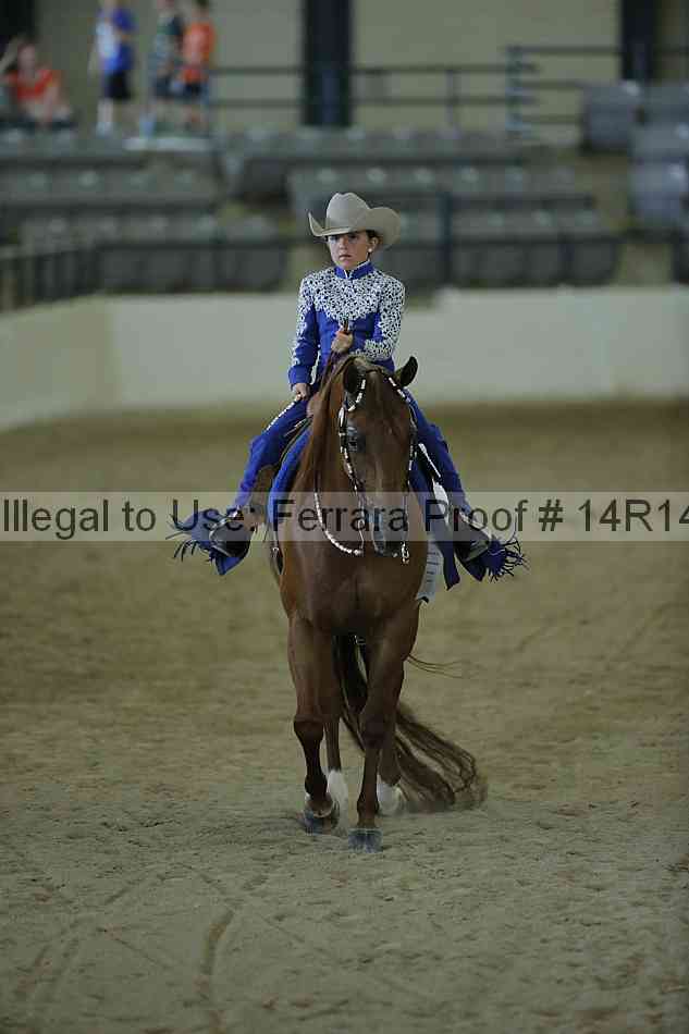 Proof Number 14r14_0772
