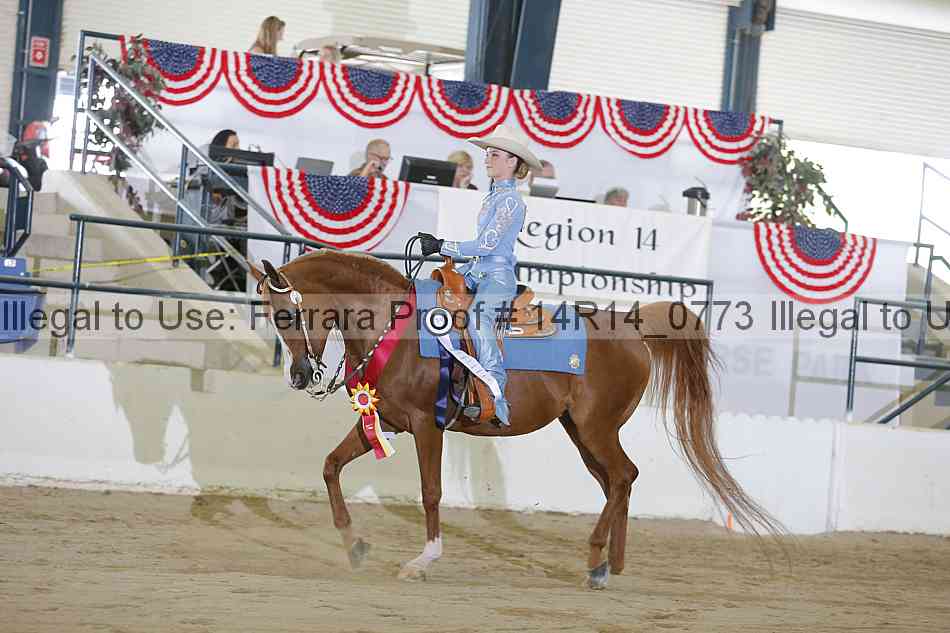 Proof Number 14r14_0773